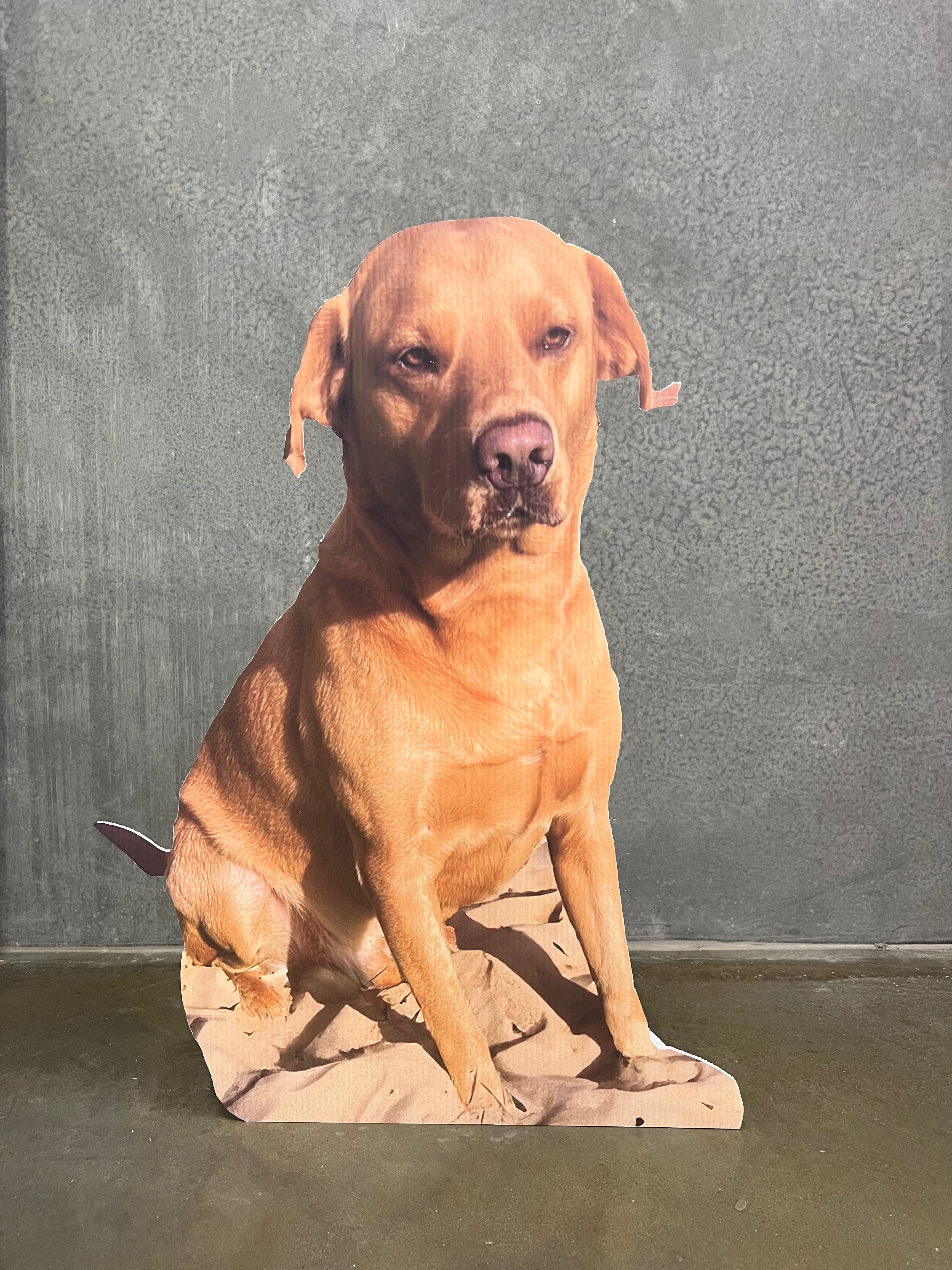 Free standing person or animal