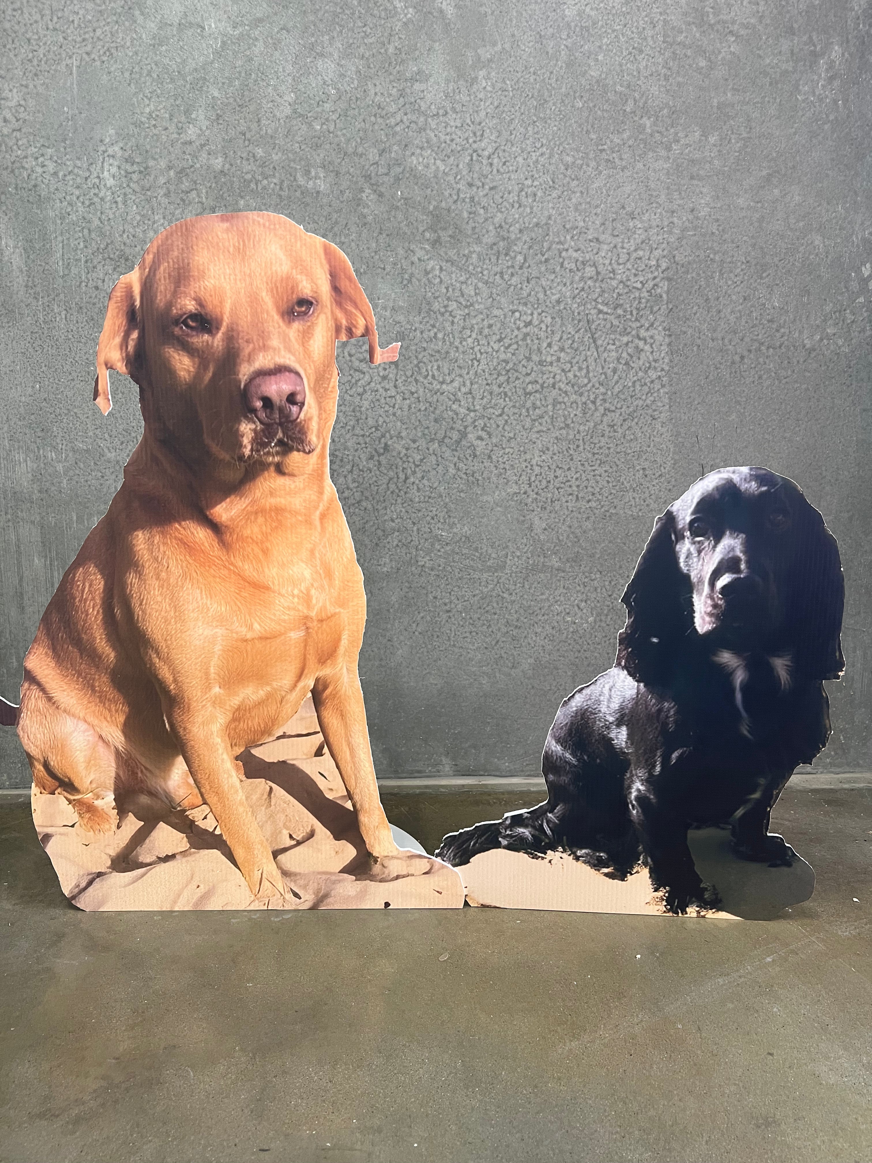 Free standing person or animal