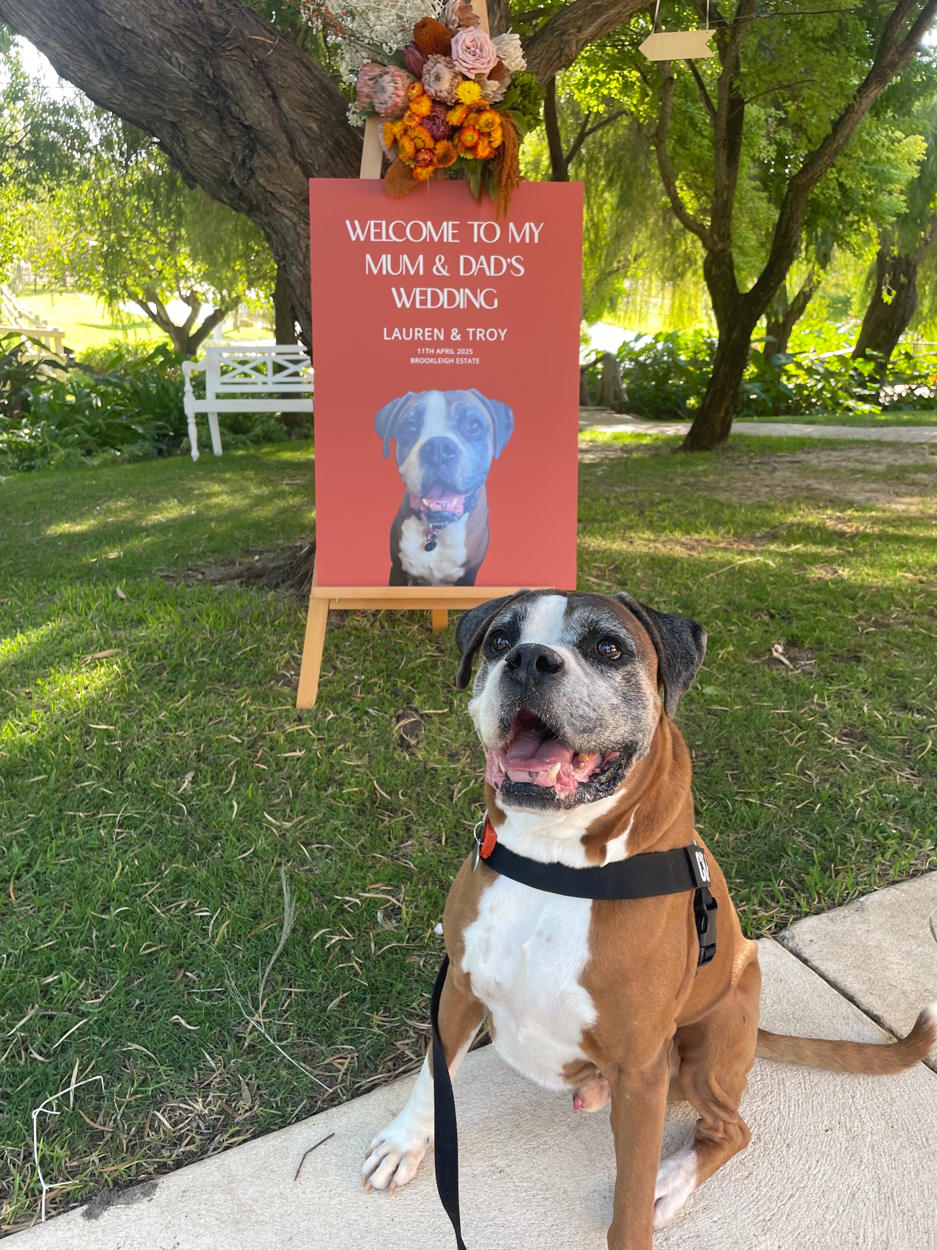 Pet welcome sign